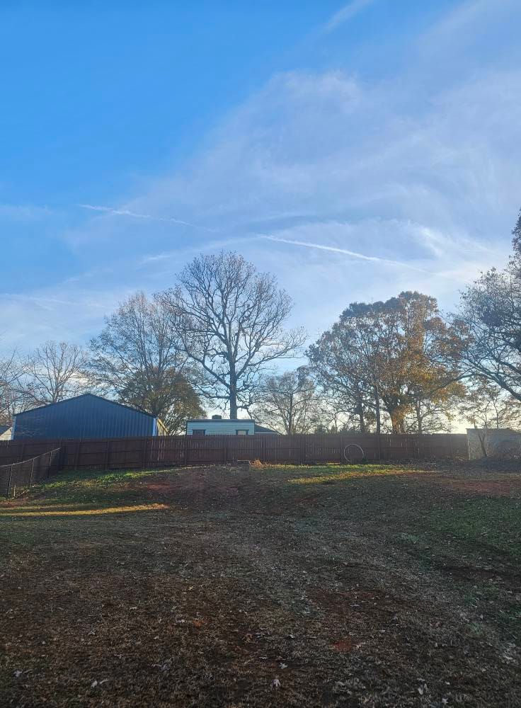 Tree Removal for Sasquatch Tree Services LLC in Spartanburg, SC