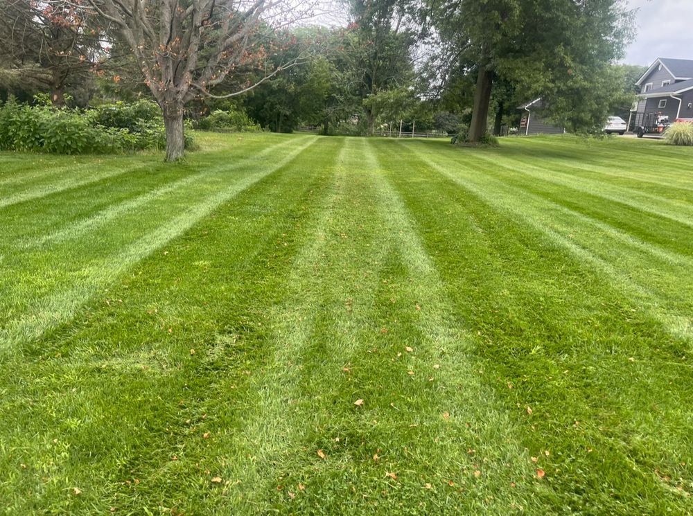 Our Fall Clean Up service includes leaf removal, gutter cleaning, hedge trimming, and lawn reseeding to prepare your yard for winter. Let us help you maintain a clean and healthy outdoor space. for Clean Green Lawns LLC in Dayton, OH