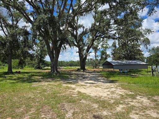 All Photos for Giles Land Management, LLC in Hahira, GA