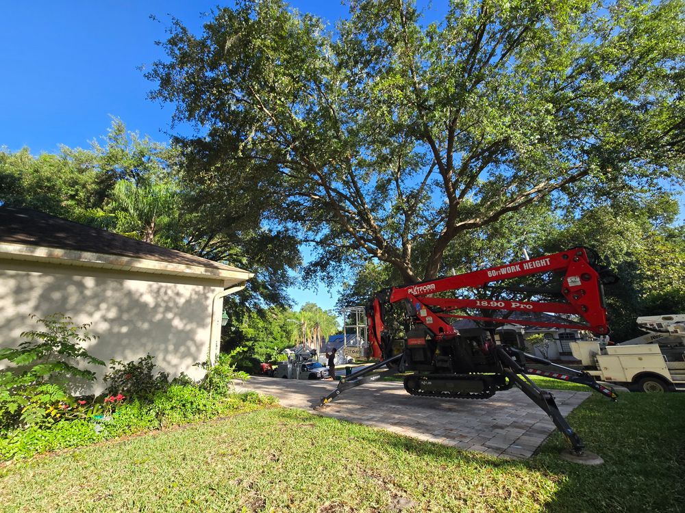 All Photos for Near Me Tree Service, Inc. in DeLand, FL