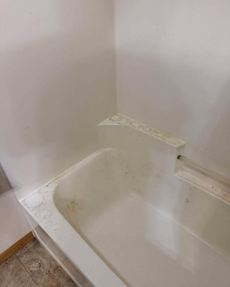 All Photos for The Domestic Goddess in Wisconsin Rapids, WI