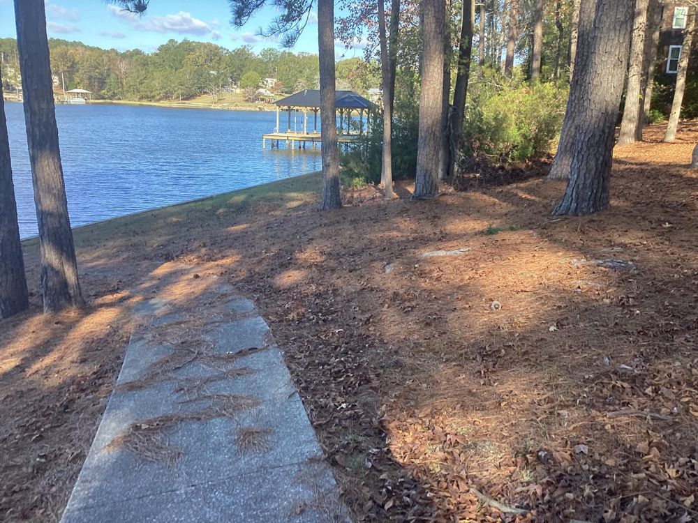 All Photos for Xtreme Landscaping & Lawn Care in Lincoln, AL