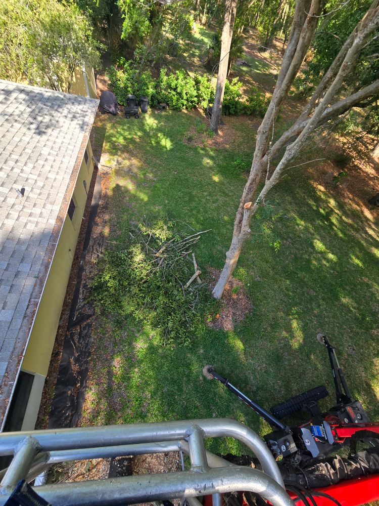 All Photos for Near Me Tree Service, Inc. in DeLand, FL
