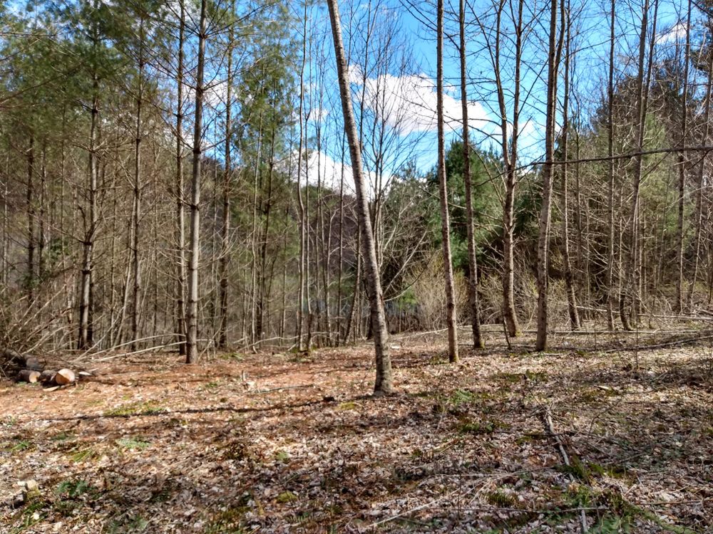 All Photos for Quality Land Management and septic service in Green Mountain, NC