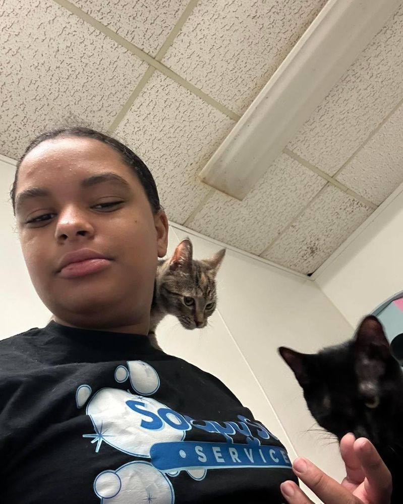 All Photos for Soapy Suds Services Georgia in Perry, GA