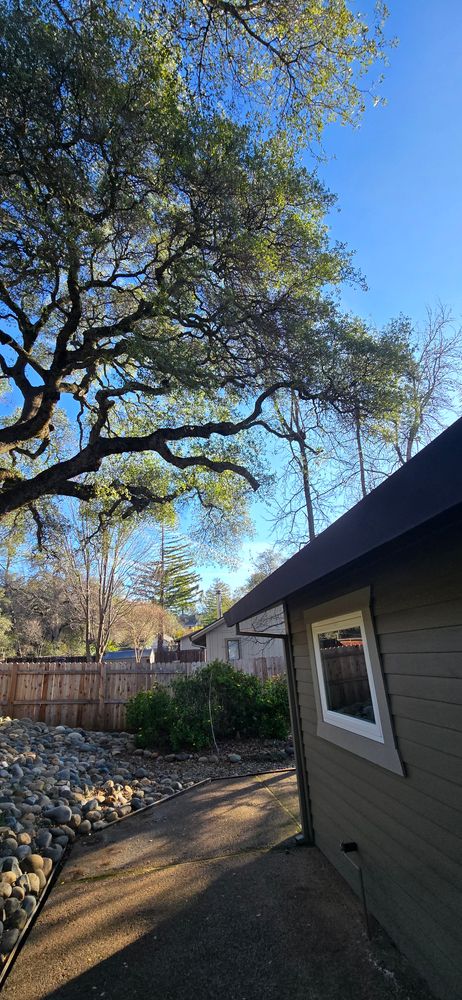 All Photos for George Staddan's Professional Tree Care in Placerville, CA