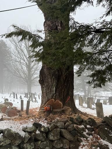 All Photos for Clifford’s Quality Tree Care & Landscaping in Enfield, NH