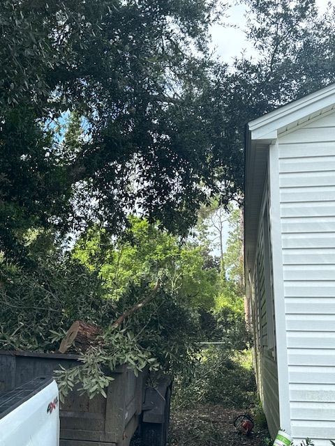 All Photos for Hawkins Tree Service & Land Management in Richmond Hill, GA