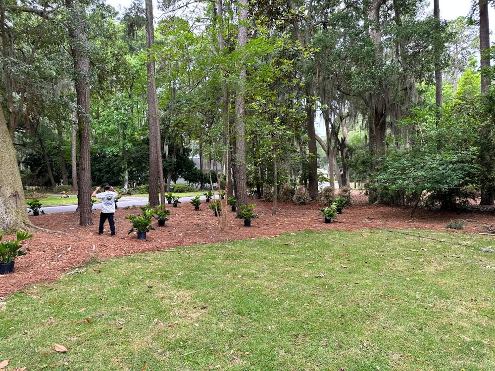 Pine Straw  for Coastalscapes Landscaping & Turf Management  in Savannah, GA