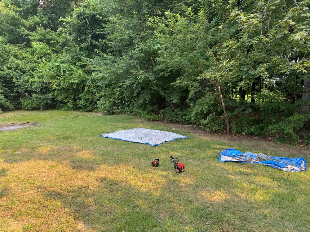 All Photos for Adams Landscaping in Springfield, MA