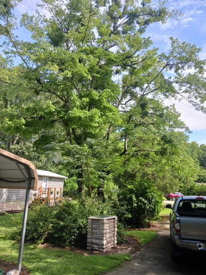 Other Services for Marables Tree Service in Currituck, NC