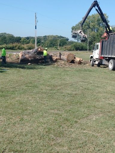 All Photos for Mitchell Tree Company in Lathrop, MO