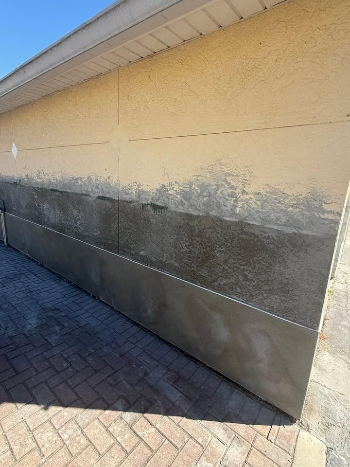 All Photos for Escorpio Painting in Tampa, FL