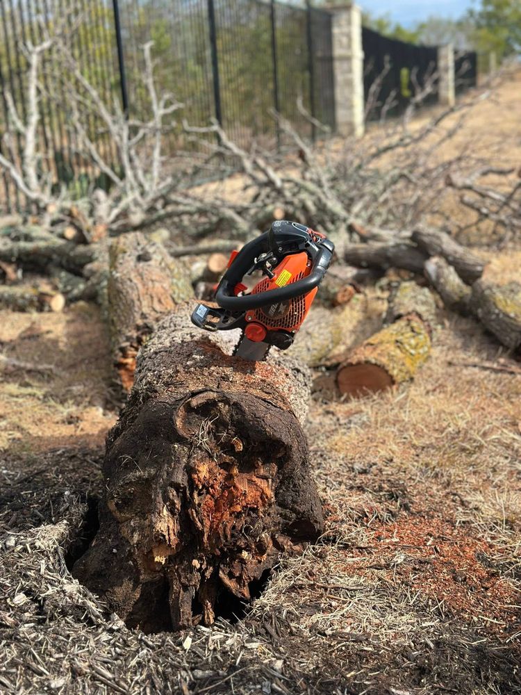 Tree Service for Austin's Lawn Enforcement in Austin, TX
