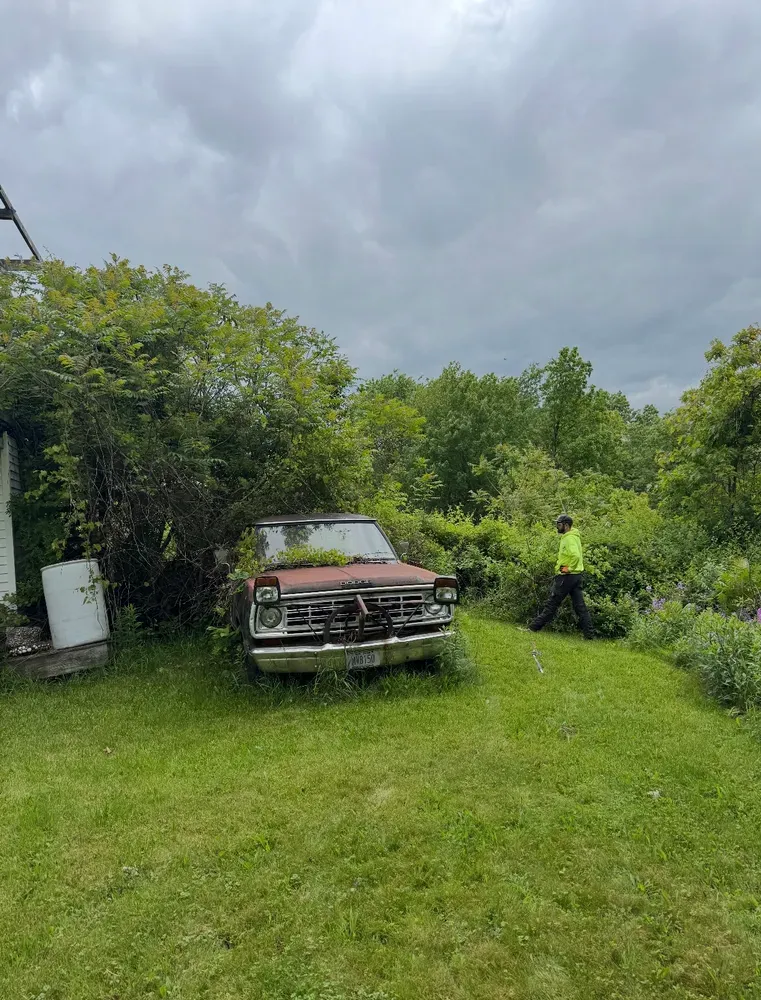 All Photos for Licensed to Cut Tree Service in Athens, PA