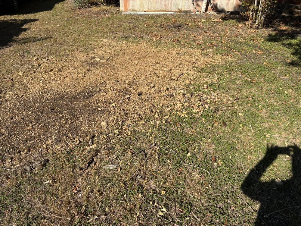 All Photos for C & C Lawn Care and Maintenance in New Braunfels, TX