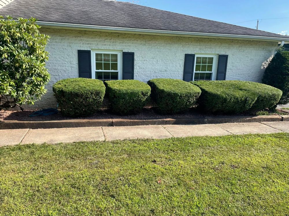 Our Shrub Trimming service enhances your landscape by expertly shaping and maintaining shrubs, promoting healthy growth, improving curb appeal, and ensuring a neat appearance for your outdoor space. for Bryant Property Solutions in Altoona, PA