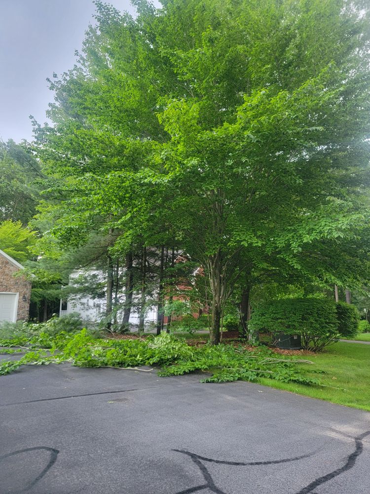 All Photos for Sweet Scapes in Ballston Spa, NY