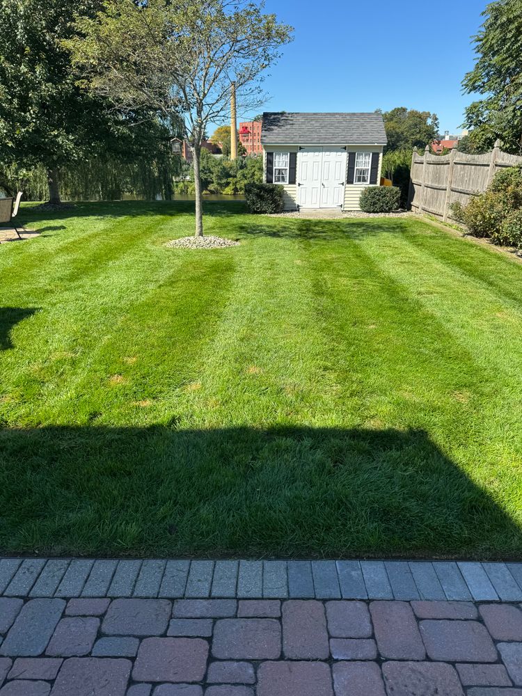 All Photos for Adams Landscaping in Springfield, MA