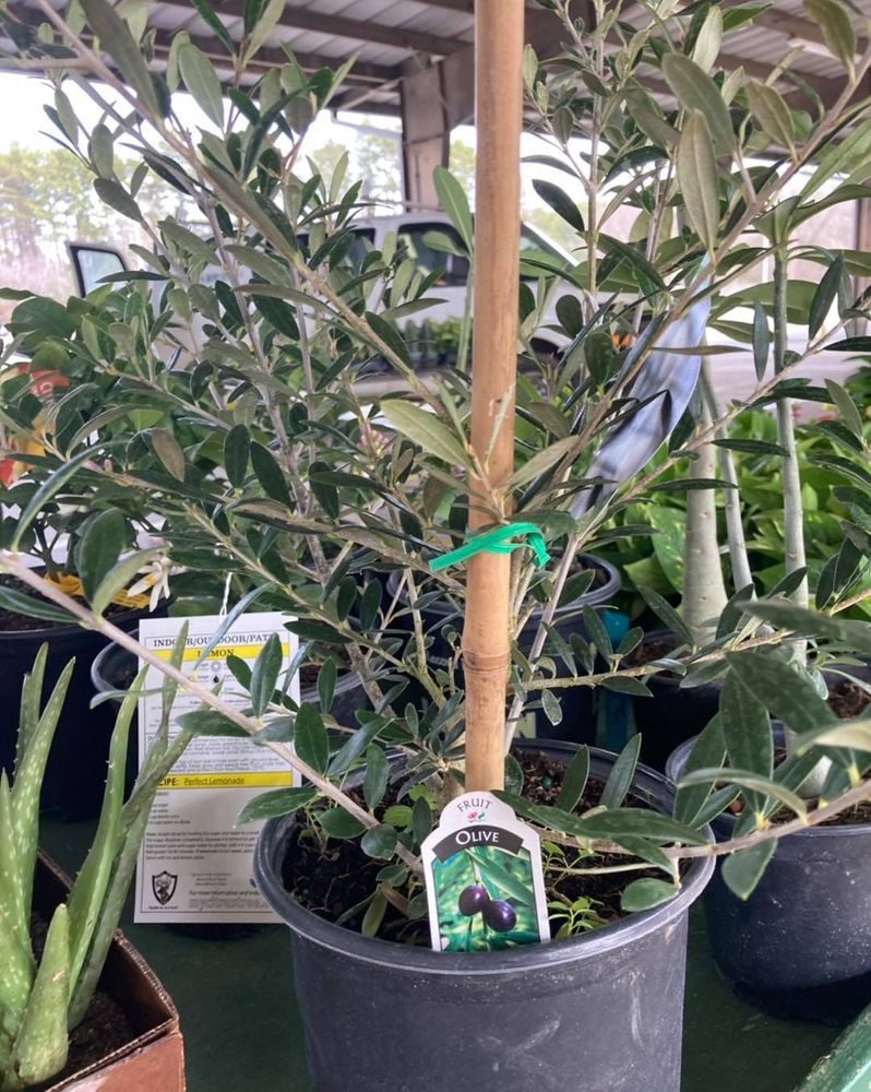 All Photos for S&R Landscaping and Nursery in Charlotte, NC