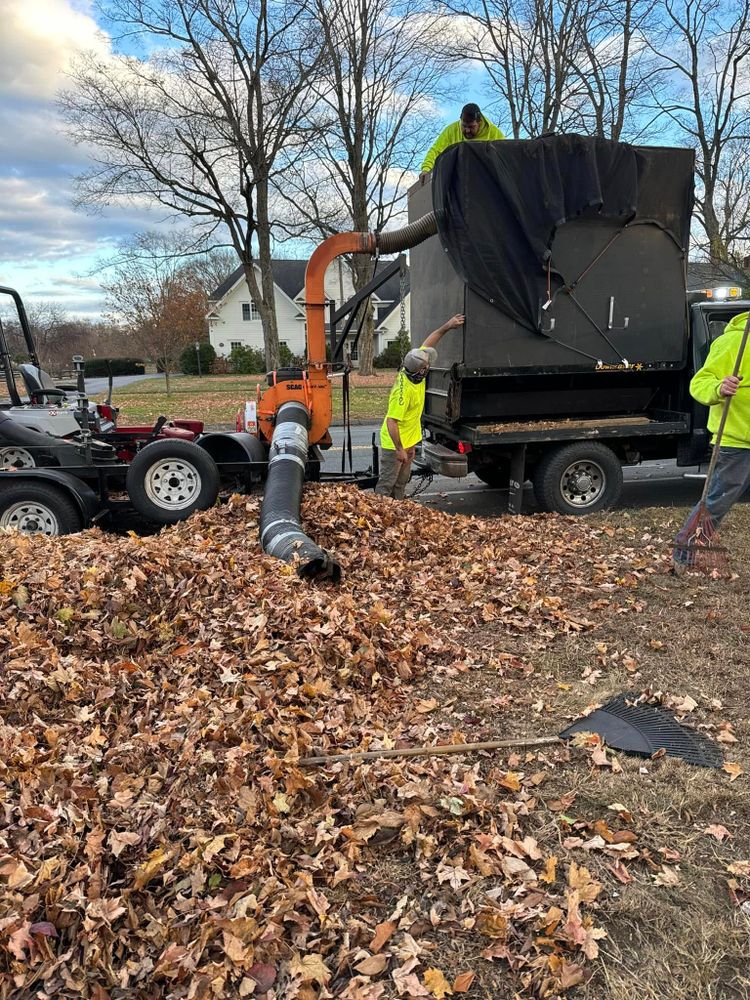 All Photos for Adams Landscaping in Springfield, MA