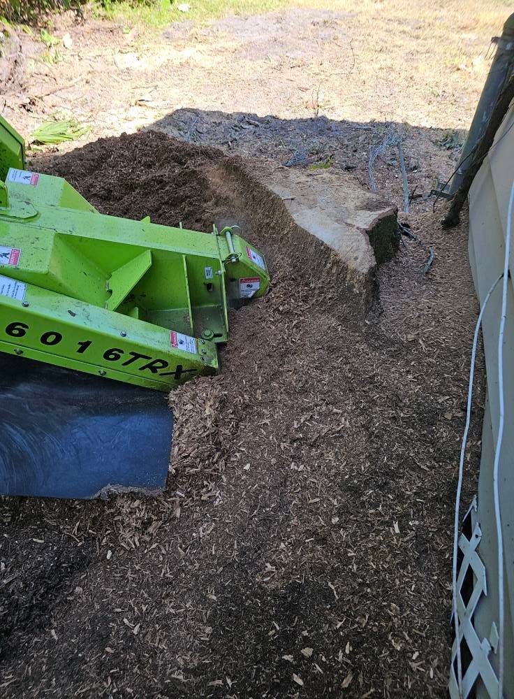 All Photos for Stumps done right LLC in Middleburg, FL