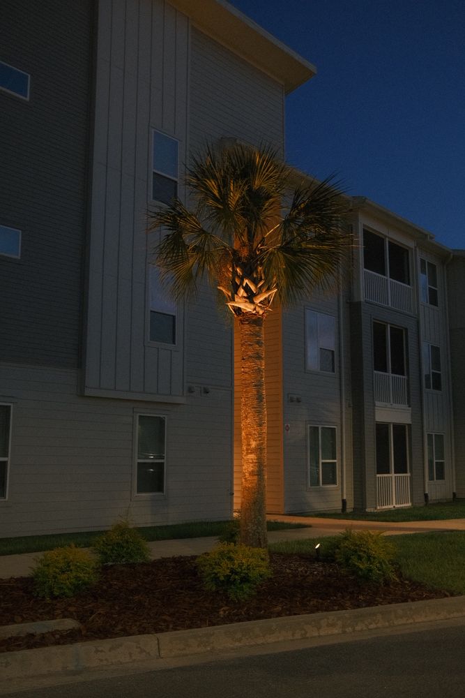 Wildlight for Pro Designs Landscaping in Jacksonville, FL