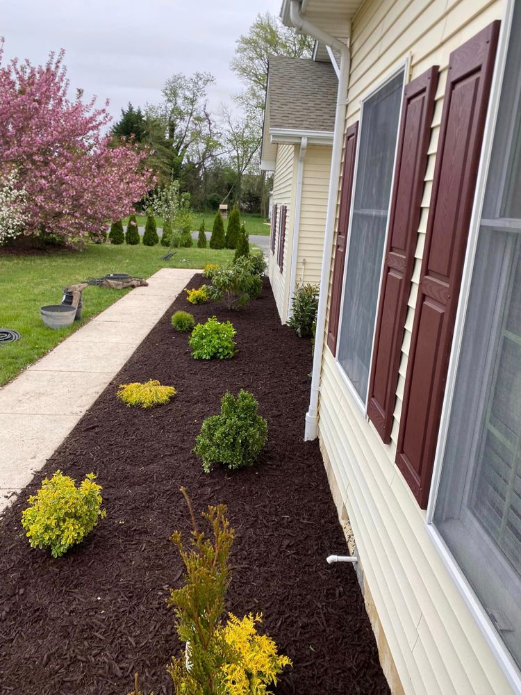 Enhance your garden's health with our expert mulching service. Using a high-quality mulching mower, we recycle grass clippings into essential nutrients, promoting lush growth and reducing the need for chemical fertilizers. for Tidy Up Landscape and Design in Chandler, AZ