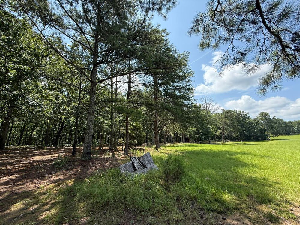 All Photos for Mud Creek Vegetation Management in Russellville, AL