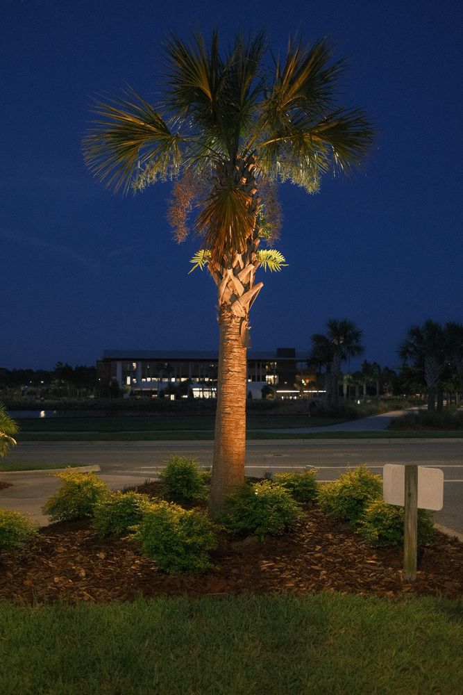 All Photos for Pro Designs Landscaping in Jacksonville, FL
