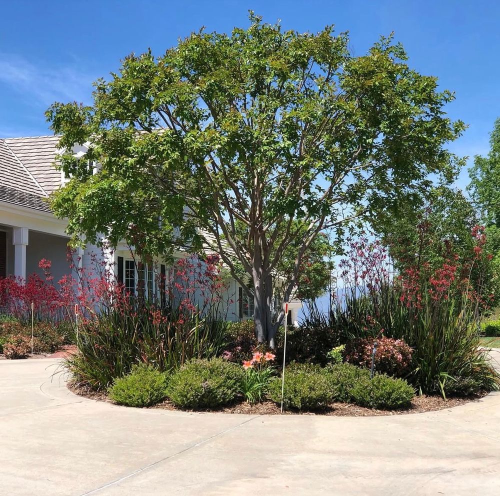 Herreras Land Service team in San Diego, CA - people or person