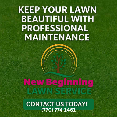 New Beginning Landscape & Remodel LLC team in Atlanta, GA