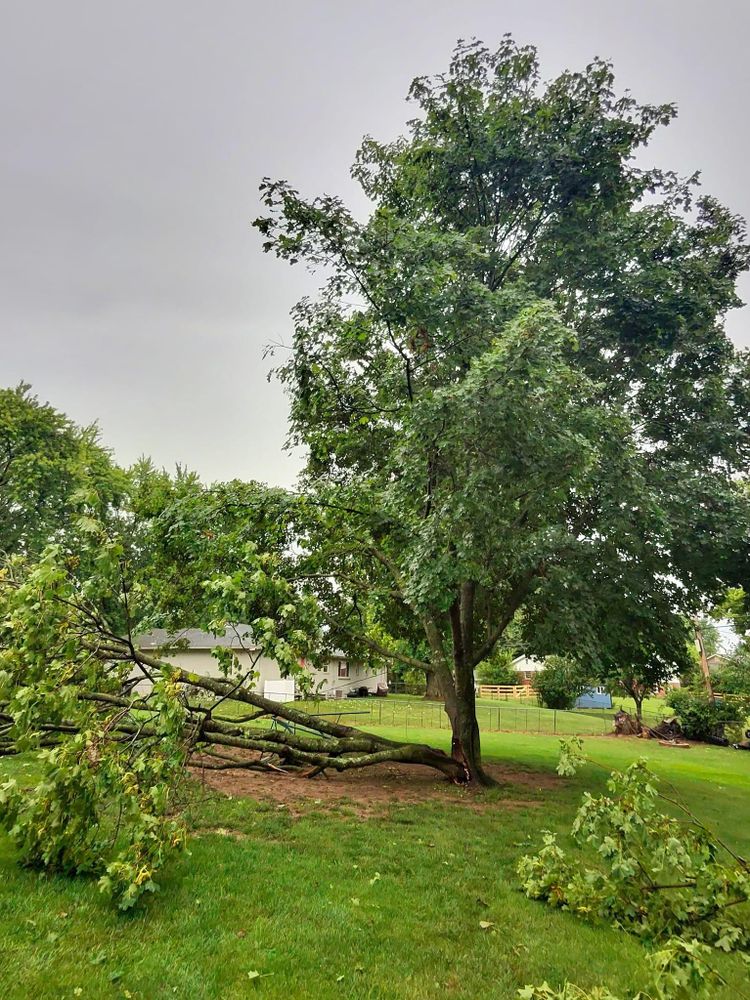 All Photos for F & F Tree Service in Beavercreek, OH