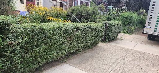 All Photos for Green Lawn Care in Ambler, PA