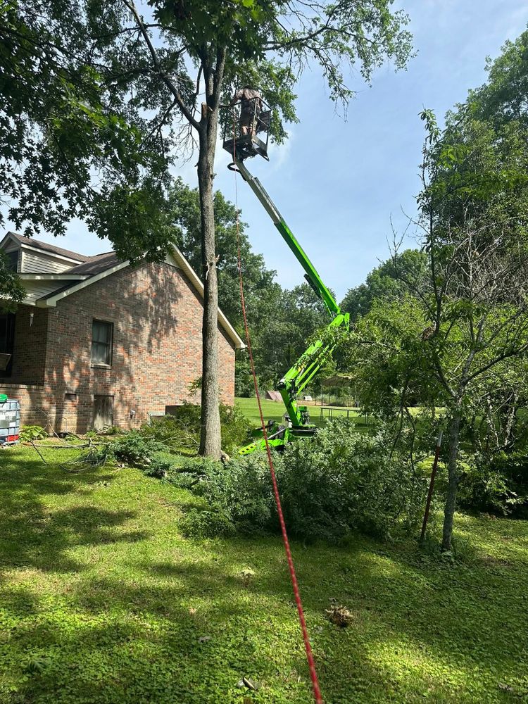 Land Clearing for Lanes Land Management in Fayetteville, TN