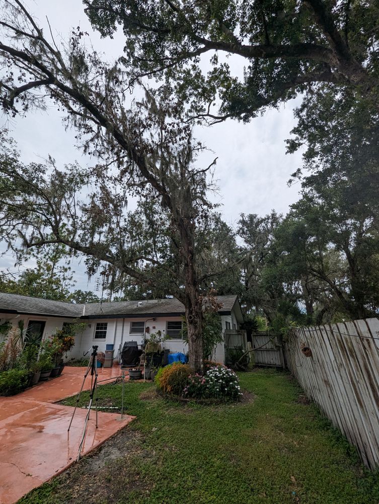 All Photos for Regal Tree Service and Stump Grinding in Wauchula, FL