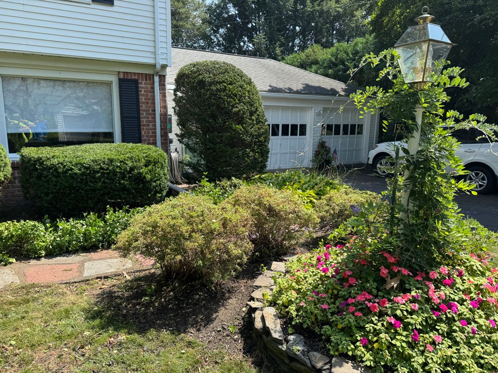 All Photos for Adams Landscaping in Springfield, MA