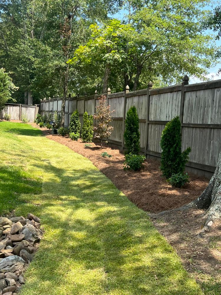 Landscaping for Amis Lawn and Landscape, LLC in Clinton, MS