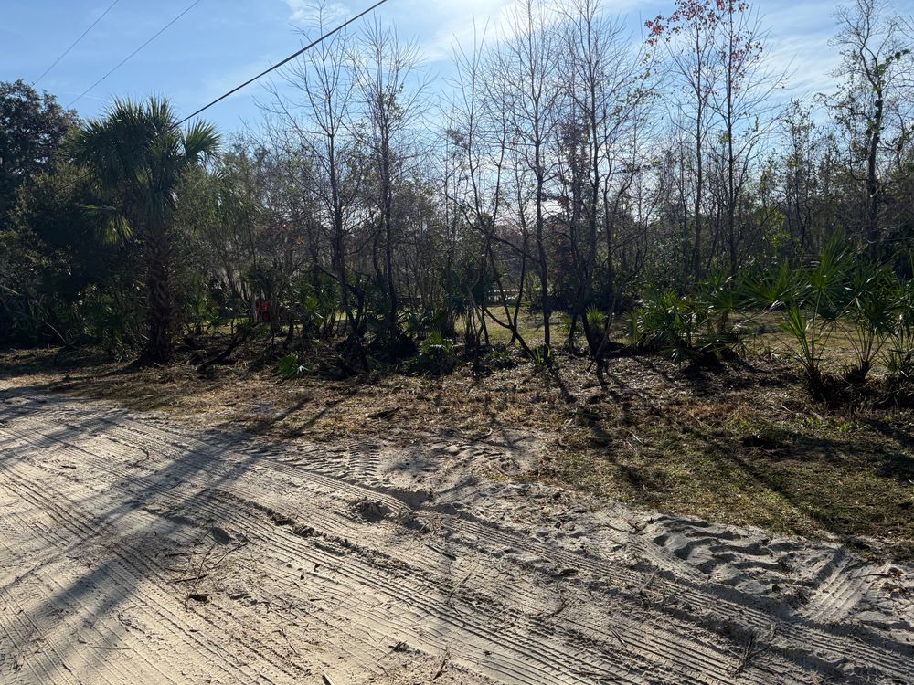 All Photos for Amerigrown Tree And Lawn in Apopka, FL