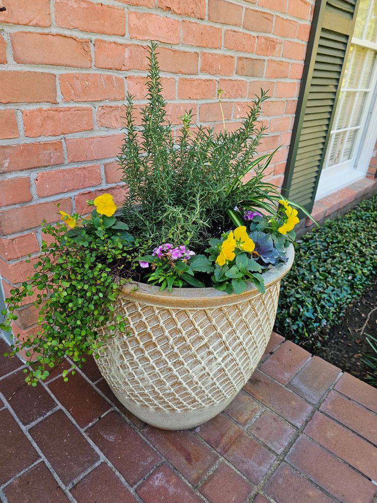 Landscaping for Bruno's Professional Lawn's & Landscape in Beaumont, TX