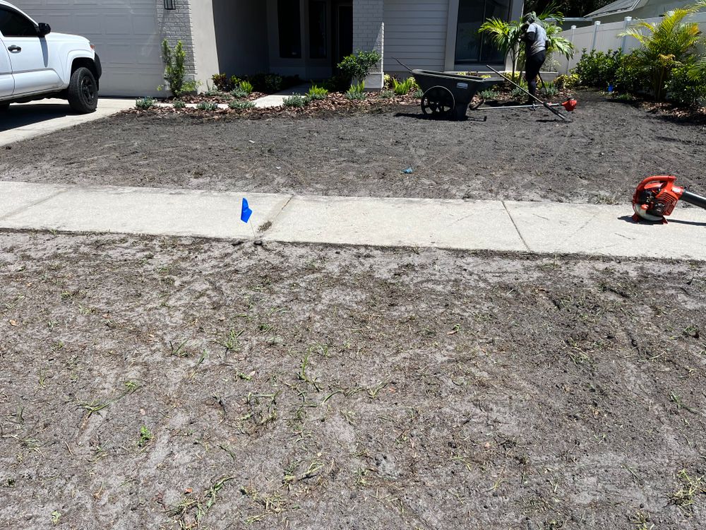 Sodding  for Verimay's Garden and Landscaping in Hillsborough County, FL