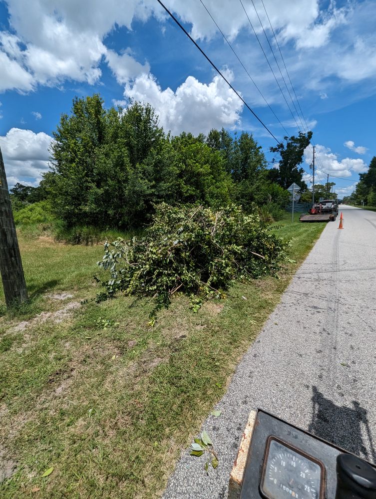All Photos for Regal Tree Service and Stump Grinding in Wauchula, FL