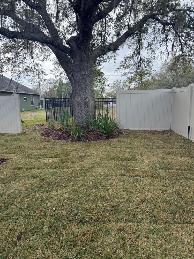 All Photos for Amerigrown Tree And Lawn in Apopka, FL