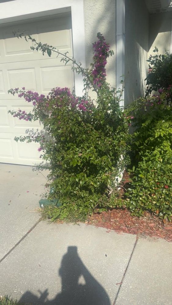 All Photos for Space Coast Property Maintenance and Management LLC in Brevard County, FL