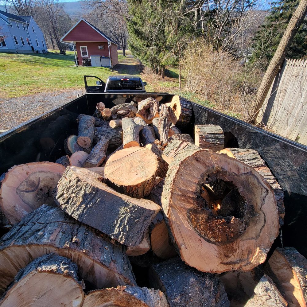  for T's Trees in Albany, NY