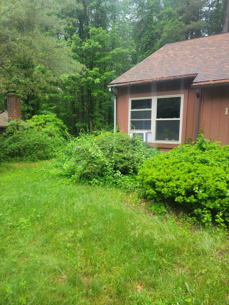 All Photos for Sweet Scapes in Ballston Spa, NY