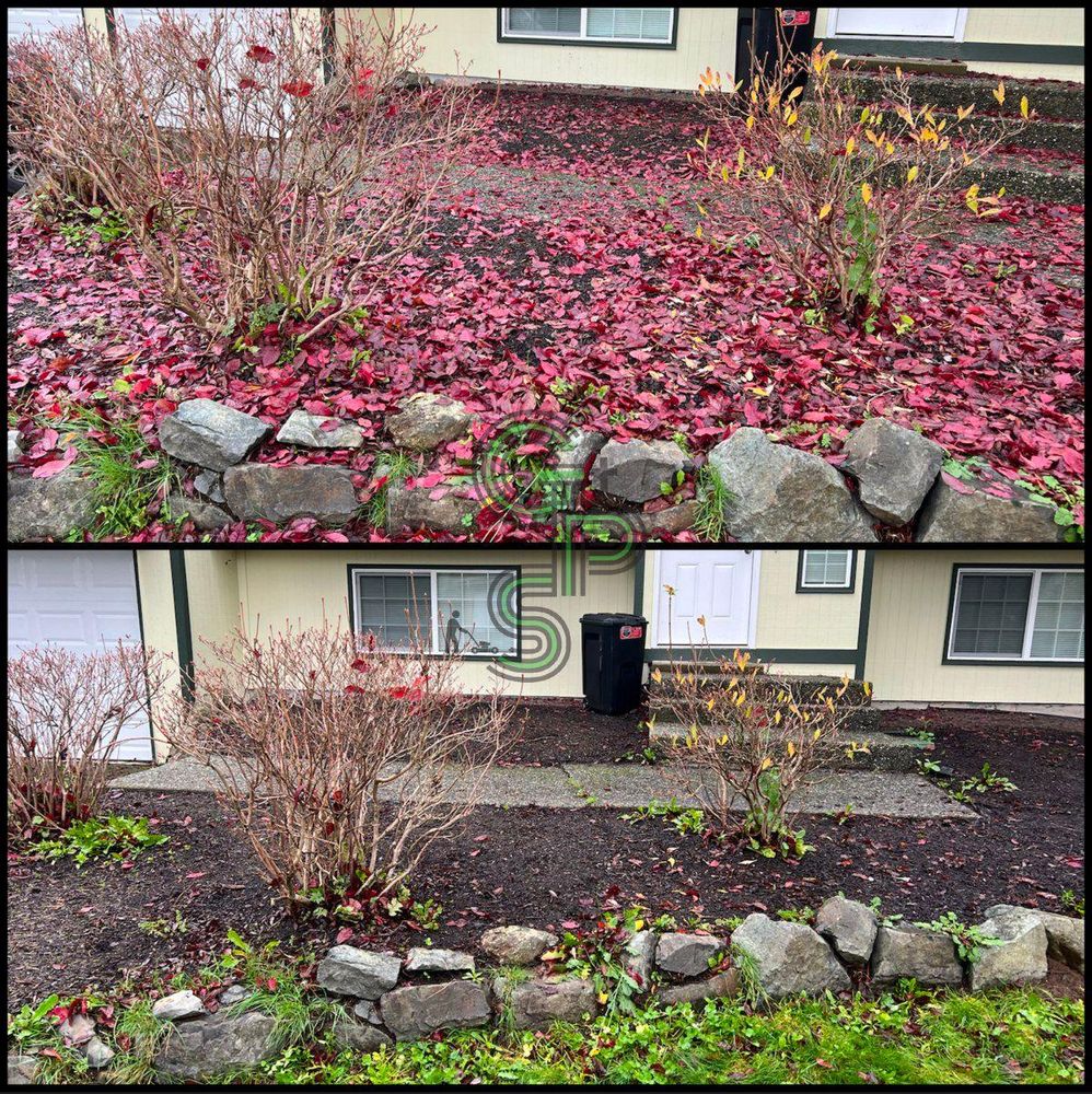 Fall Clean Up for Golovin Property Services LLC in Marysville, WA