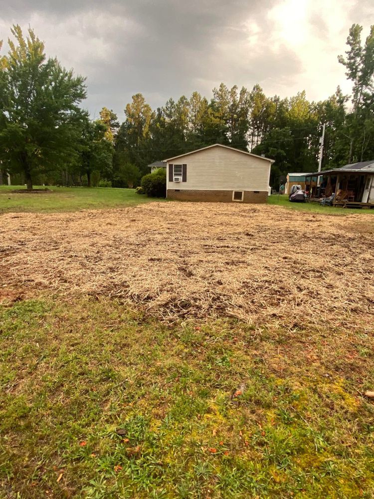 Our Seeding service rejuvenates your landscape by expertly planting grass or native plants, ensuring lush growth and sustainable beauty for your property while enhancing soil health and increasing biodiversity. for Site Solutions in Lynchburg, Virginia