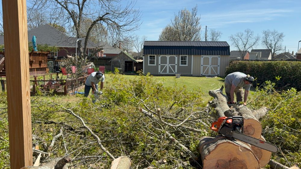 All Photos for T N L - Tree and Land Service in Reynolds, GA
