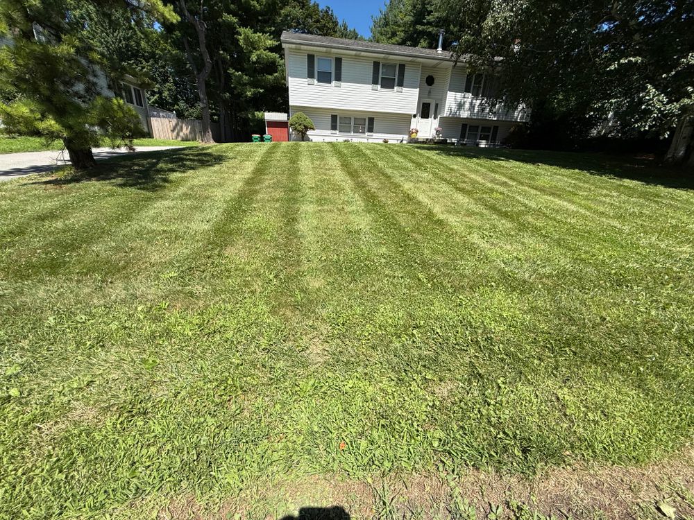 Lawn Care for Ardisi Landscaping & Design in Poughkeepsie, NY 